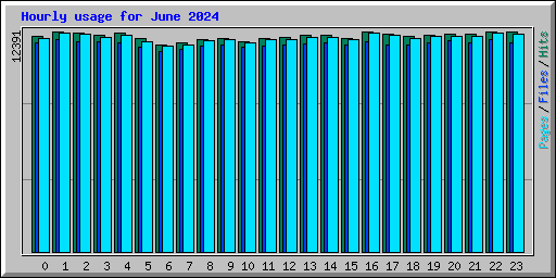 Hourly usage for June 2024