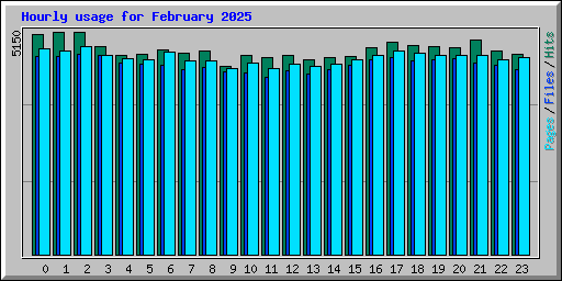 Hourly usage for February 2025