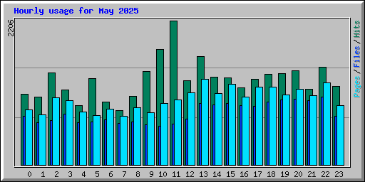 Hourly usage for May 2025