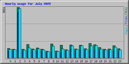 Hourly usage for July 2025