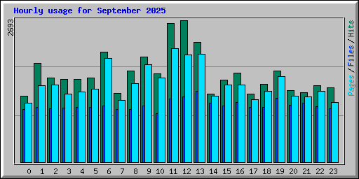 Hourly usage for September 2025