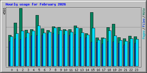 Hourly usage for February 2026